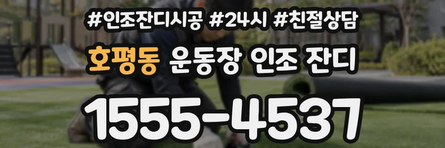 호평동 운동장 인조 잔디