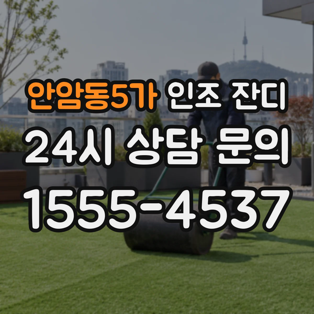 안암동5가 인조 잔디