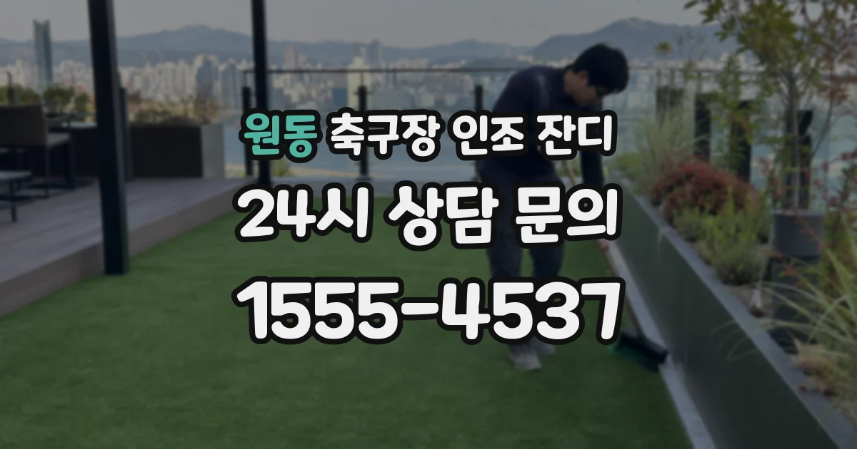 원동 축구장 인조 잔디