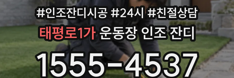 태평로1가 운동장 인조 잔디