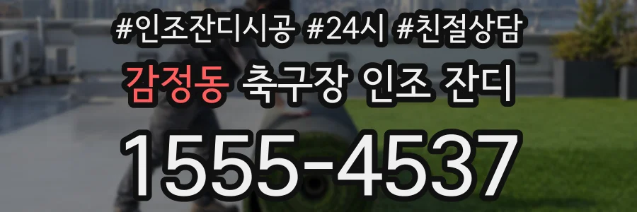 감정동 축구장 인조 잔디