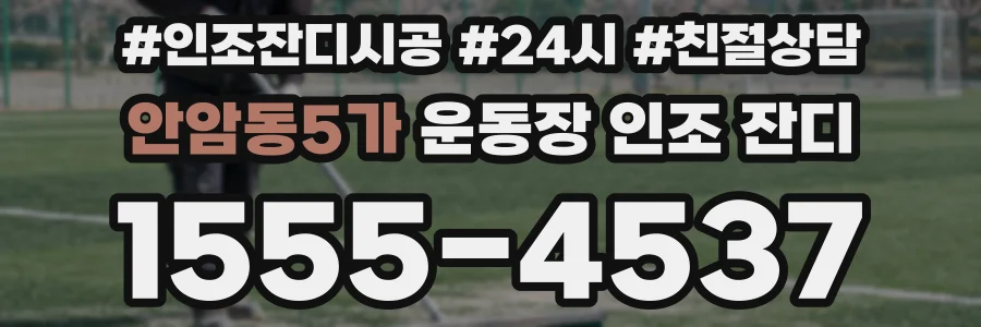 안암동5가 운동장 인조 잔디