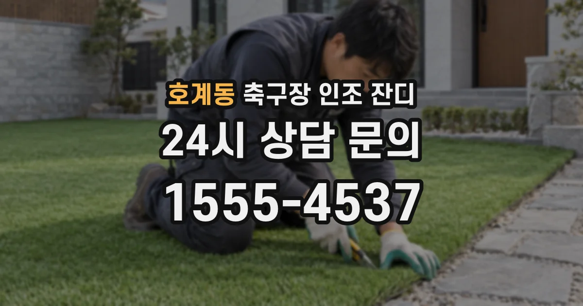 호계동 축구장 인조 잔디