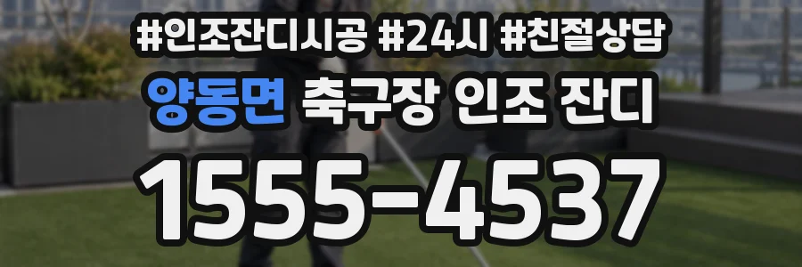 양동면 축구장 인조 잔디