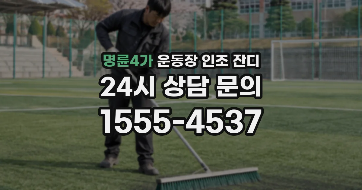 명륜4가 운동장 인조 잔디