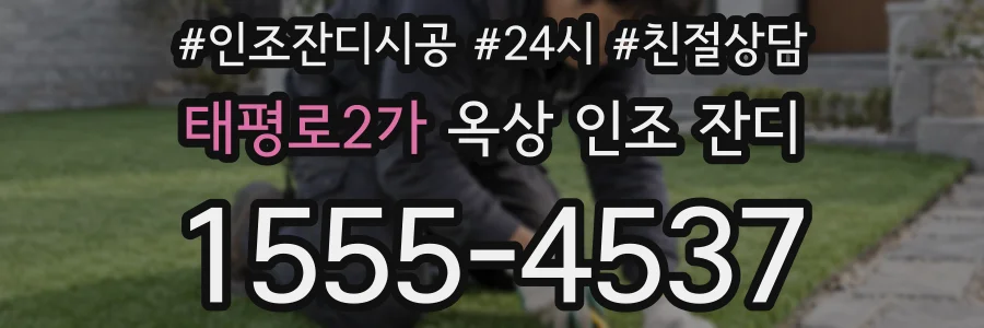 태평로2가 옥상 인조 잔디