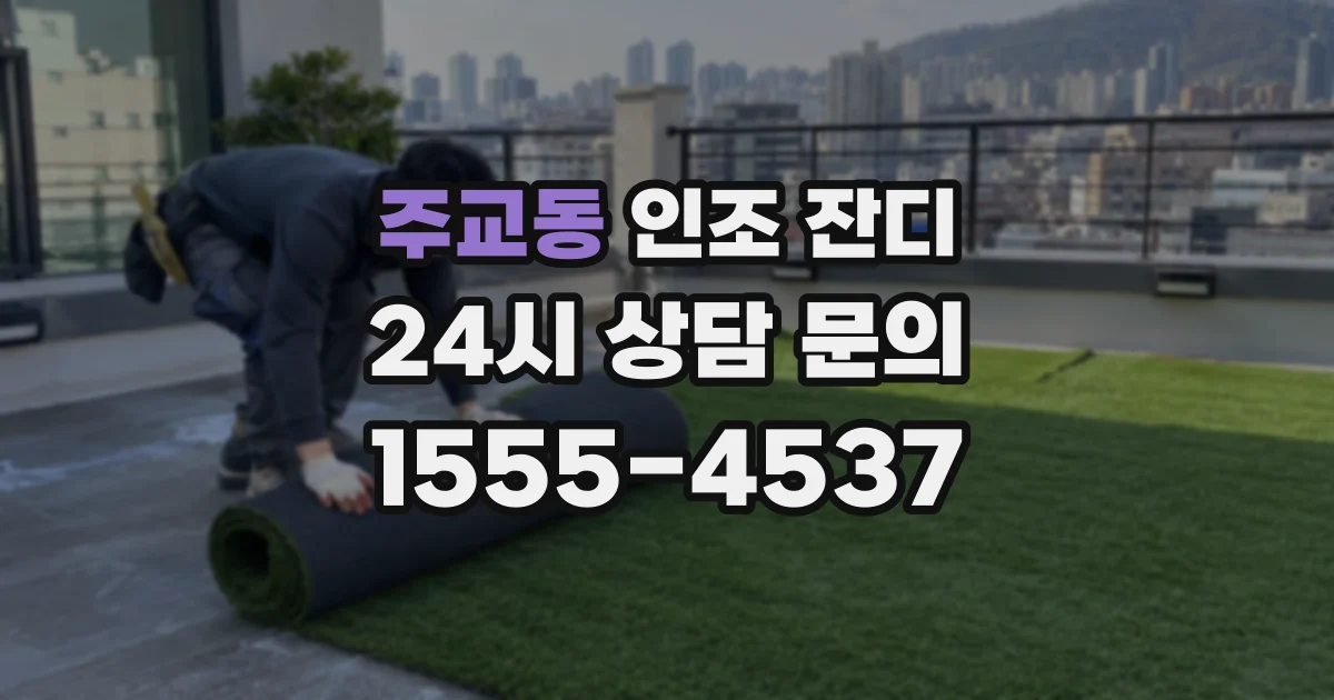 주교동 인조 잔디