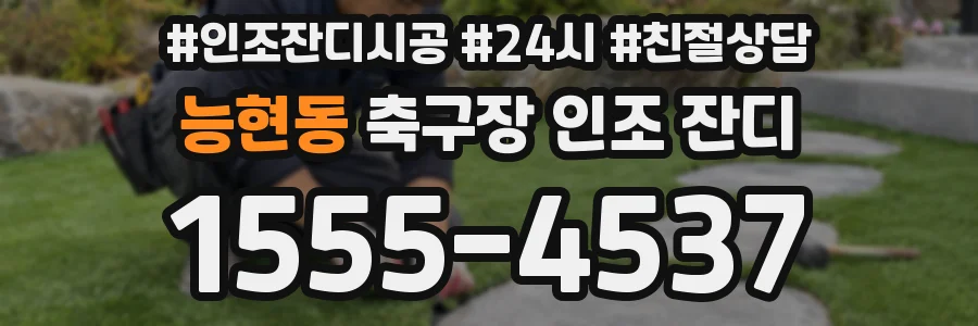 능현동 축구장 인조 잔디