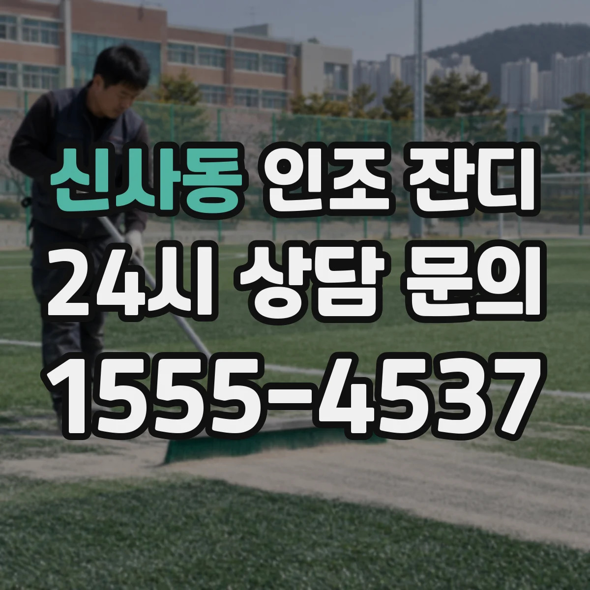 신사동 인조 잔디