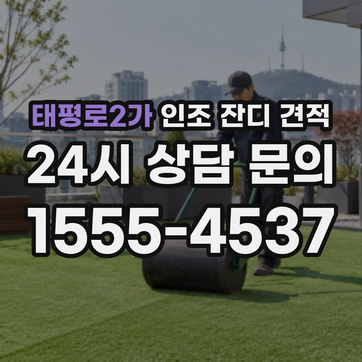 태평로2가 인조 잔디 견적