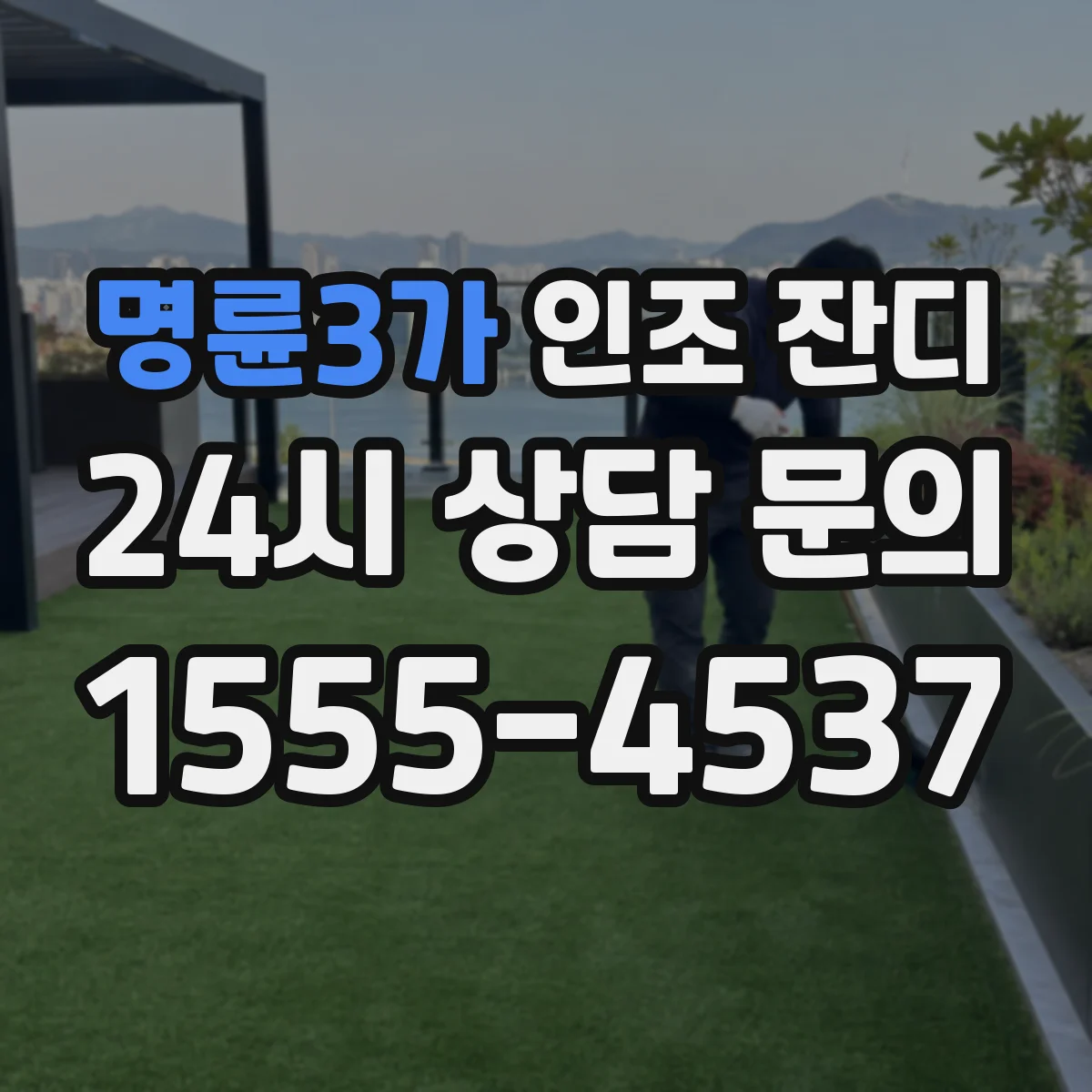 명륜3가 인조 잔디
