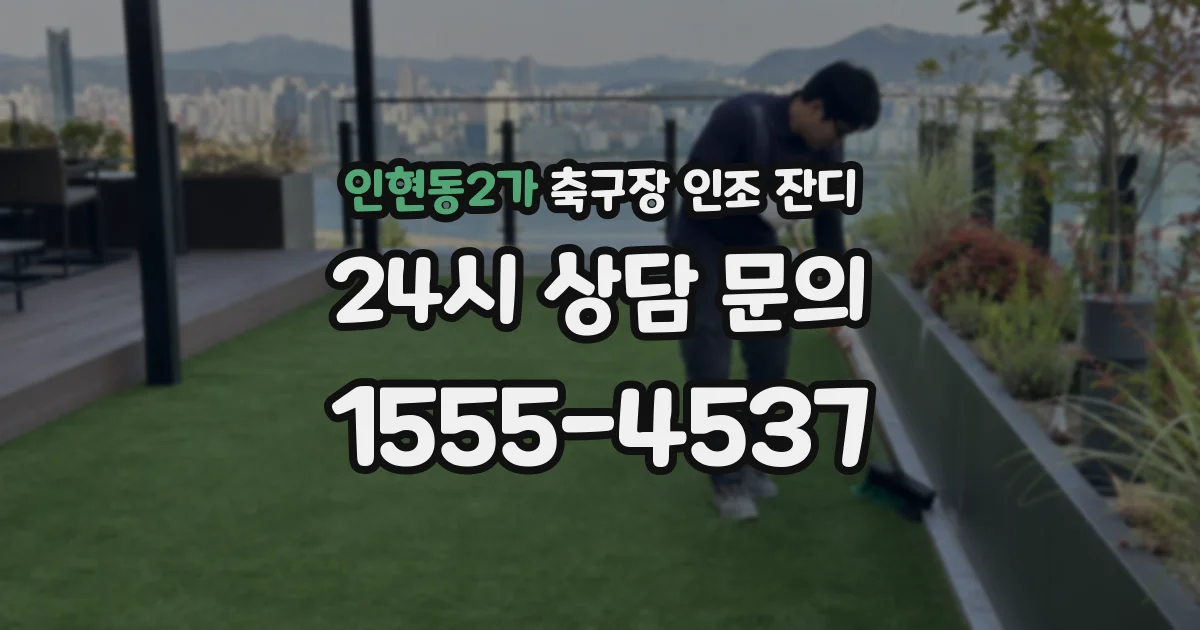 인현동2가 축구장 인조 잔디