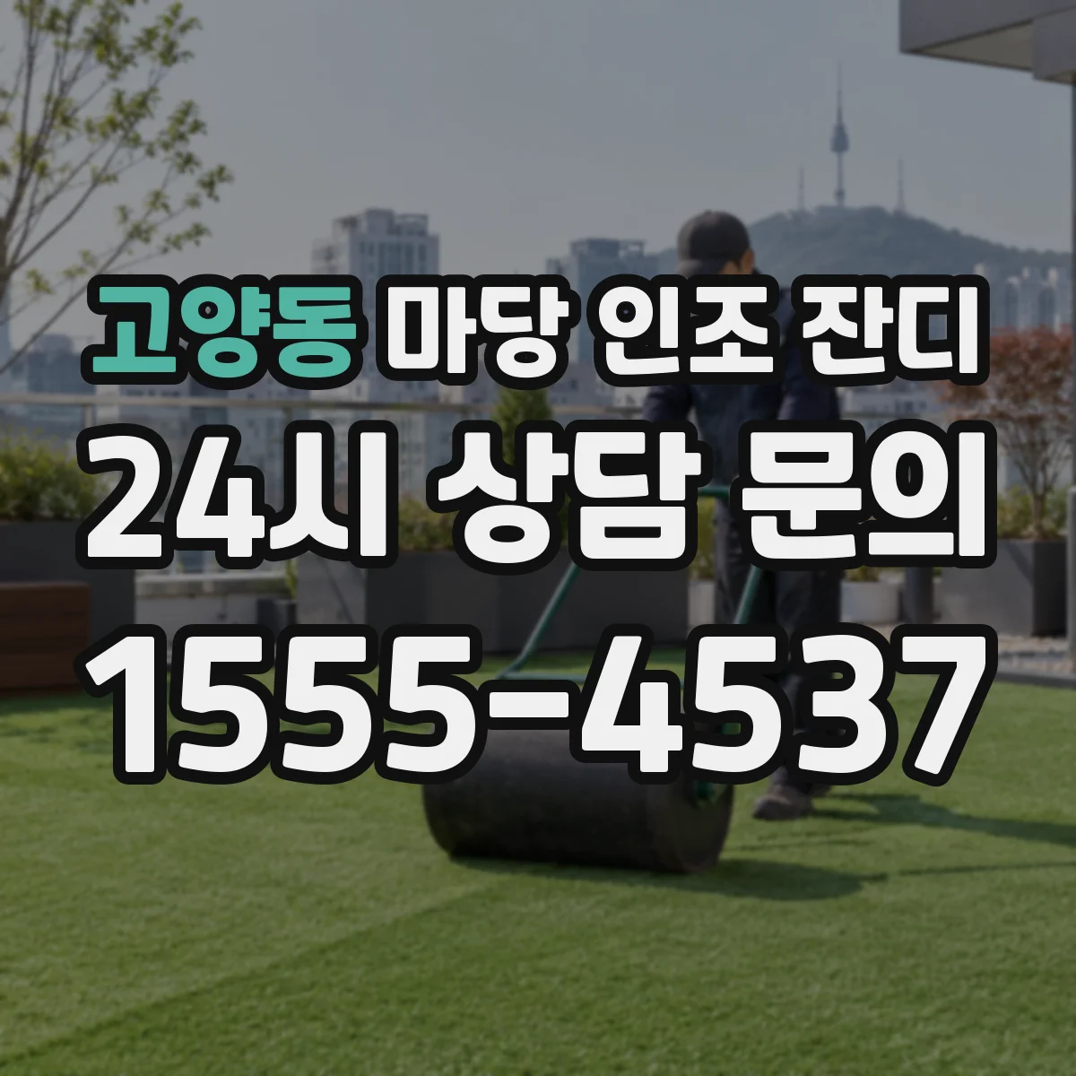 고양동 마당 인조 잔디