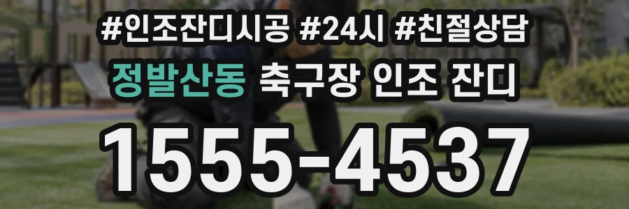 정발산동 축구장 인조 잔디