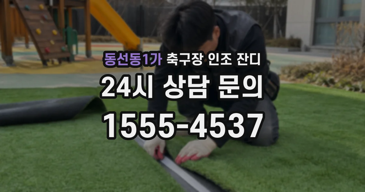 동선동1가 축구장 인조 잔디