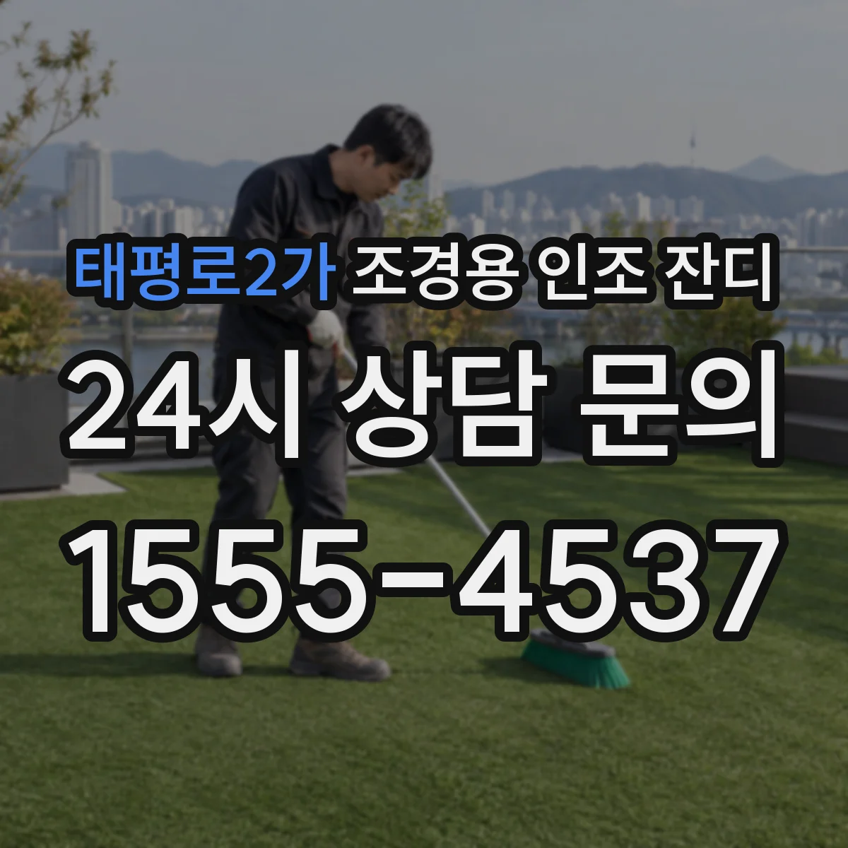 태평로2가 조경용 인조 잔디