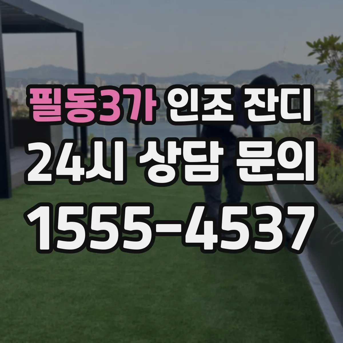 필동3가 인조 잔디