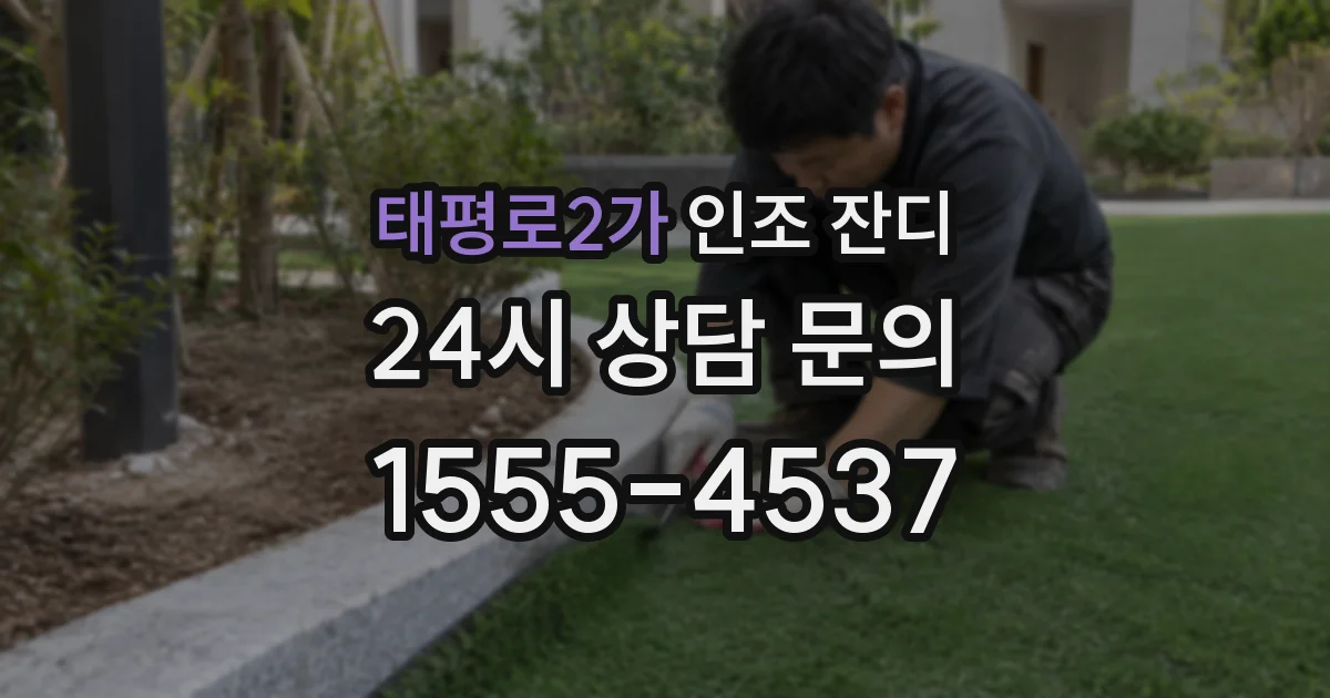 태평로2가 인조 잔디