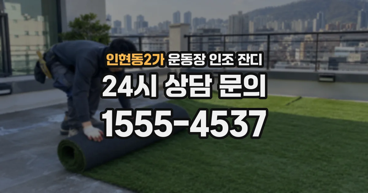 인현동2가 운동장 인조 잔디