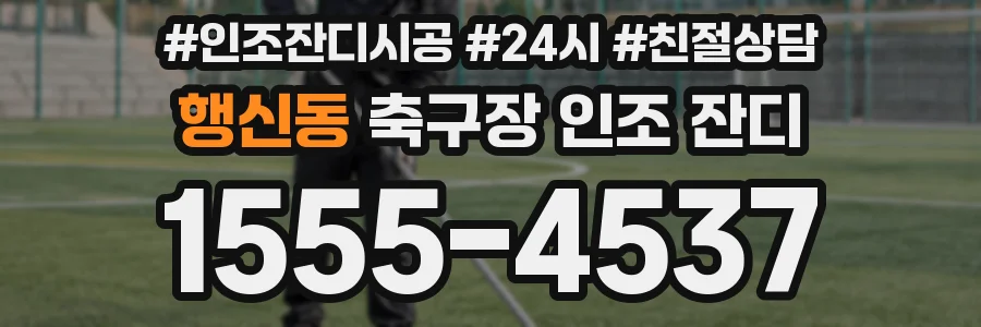 행신동 축구장 인조 잔디
