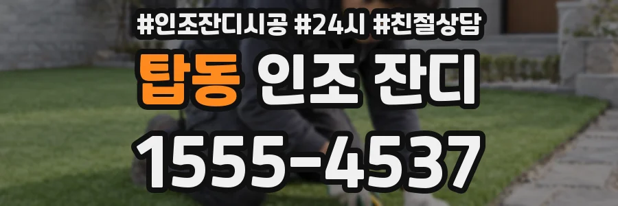 탑동 인조 잔디
