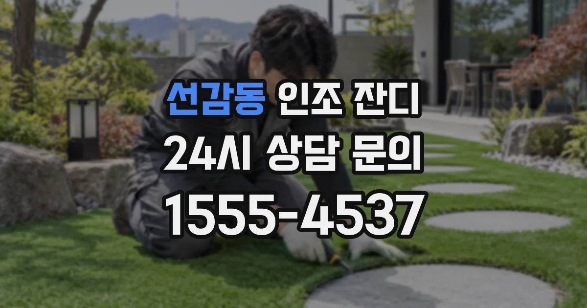 선감동 인조 잔디
