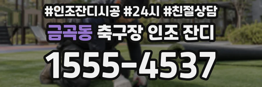 금곡동 축구장 인조 잔디