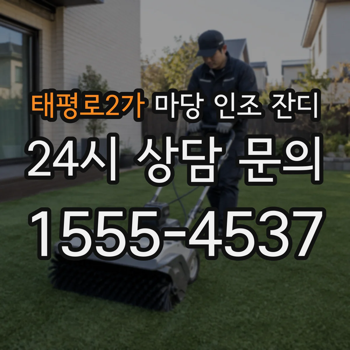 태평로2가 마당 인조 잔디