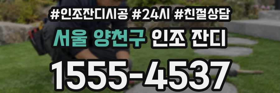 서울 양천구 인조 잔디