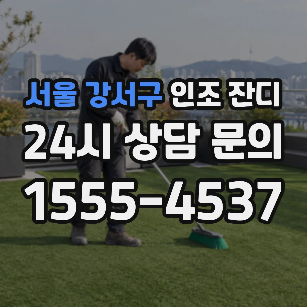 서울 강서구 인조 잔디