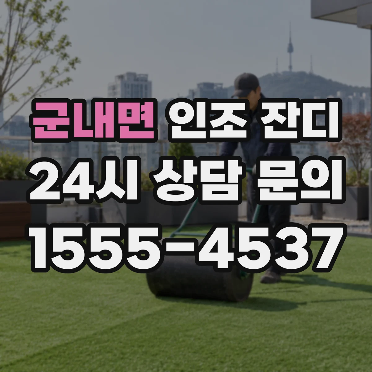 군내면 인조 잔디