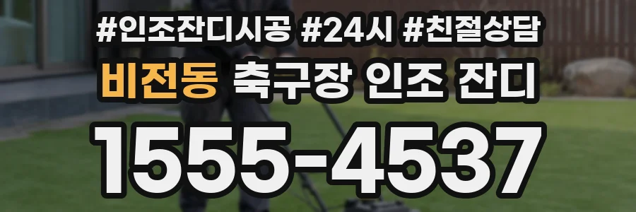 비전동 축구장 인조 잔디