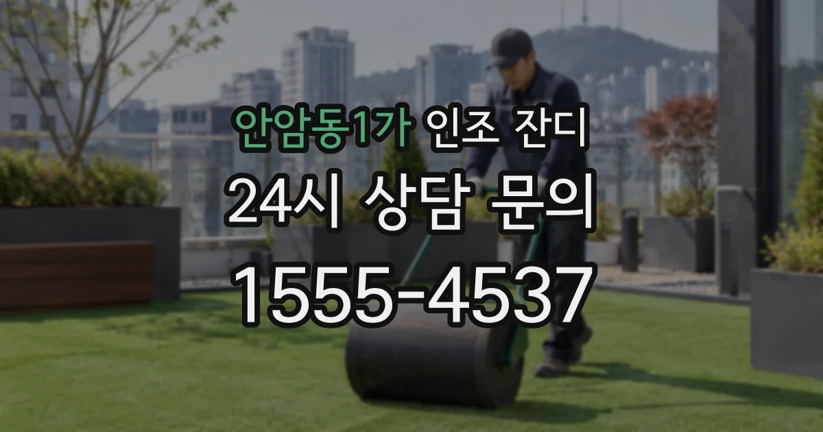 안암동1가 인조 잔디