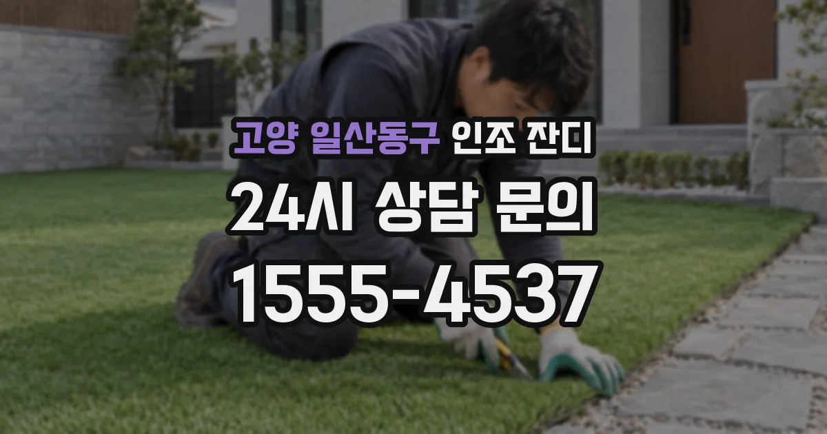고양 일산동구 인조 잔디