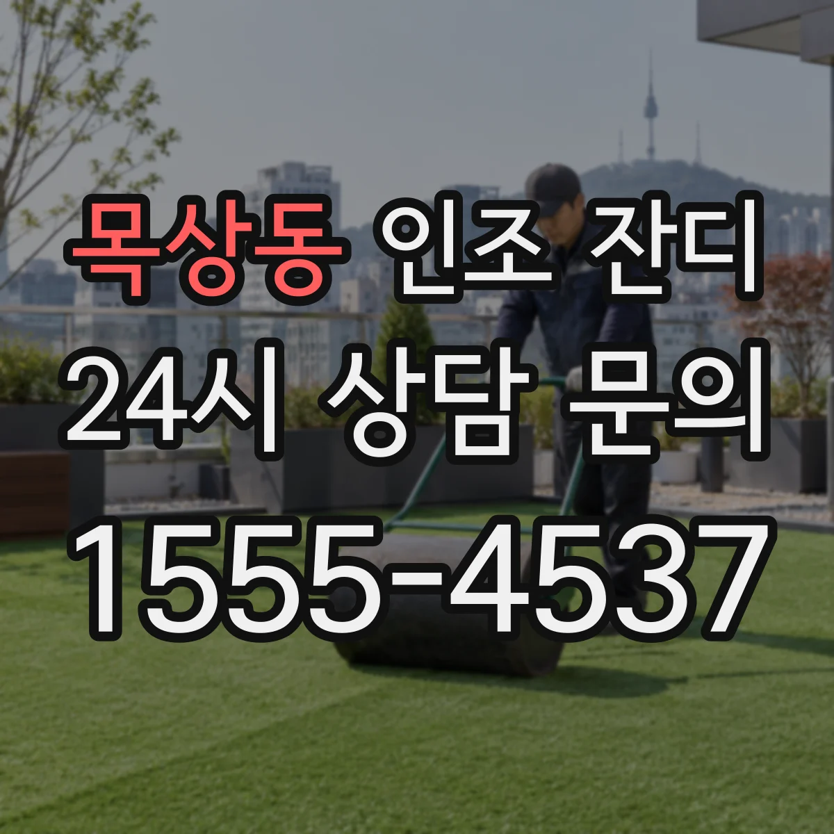 목상동 인조 잔디