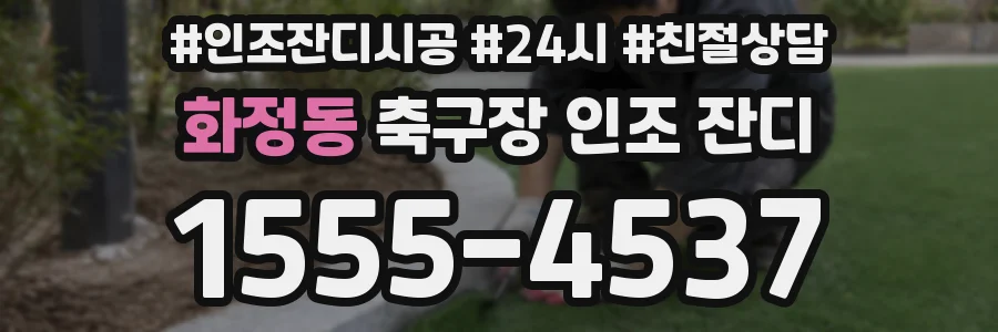 화정동 축구장 인조 잔디
