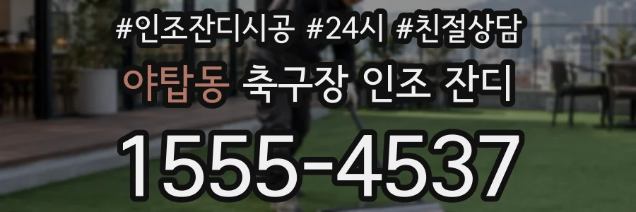 야탑동 축구장 인조 잔디
