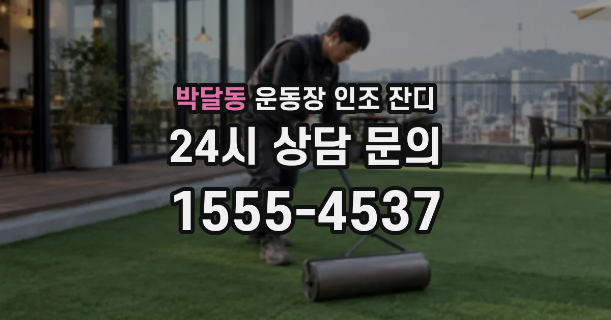 박달동 운동장 인조 잔디