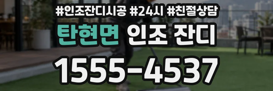 탄현면 인조 잔디