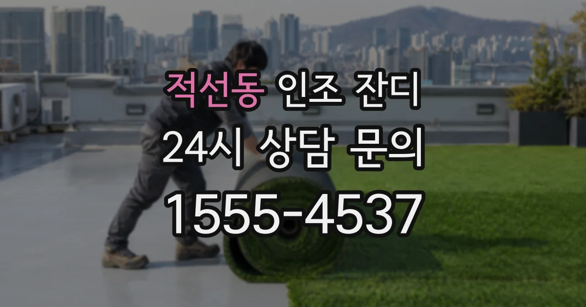적선동 인조 잔디