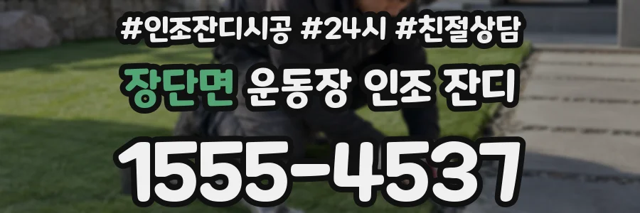 장단면 운동장 인조 잔디