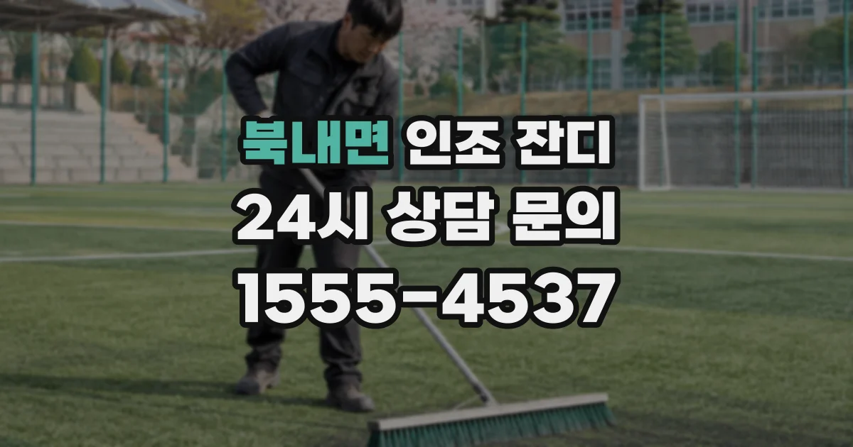 북내면 인조 잔디