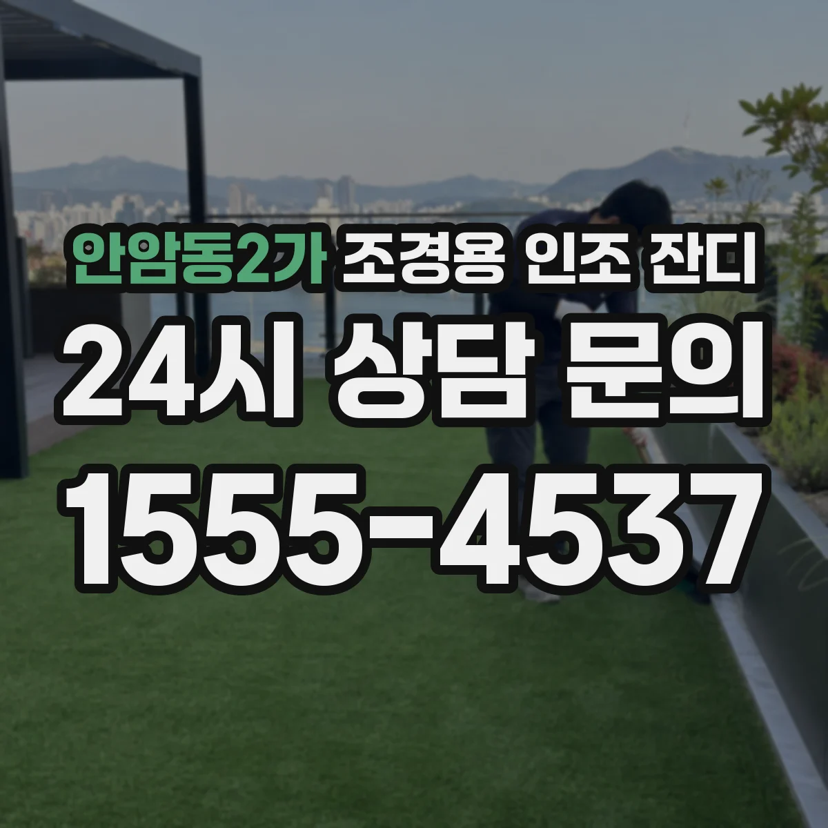 안암동2가 조경용 인조 잔디