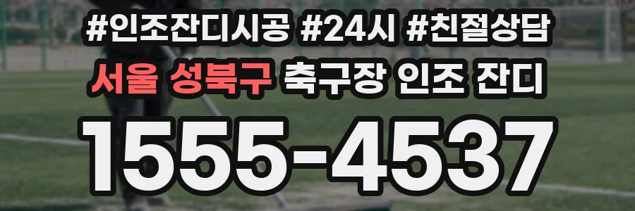 서울 성북구 축구장 인조 잔디