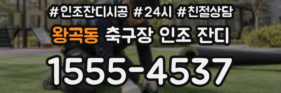왕곡동 축구장 인조 잔디