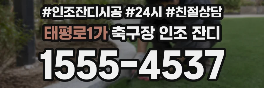 태평로1가 축구장 인조 잔디