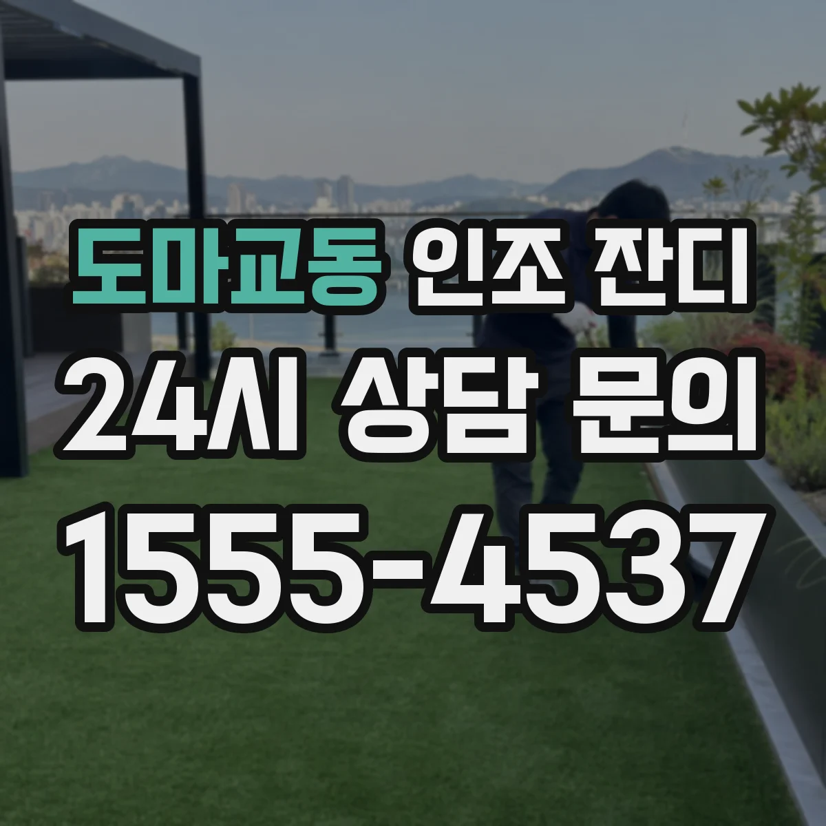 도마교동 인조 잔디