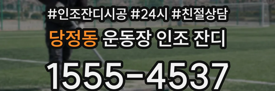 당정동 운동장 인조 잔디