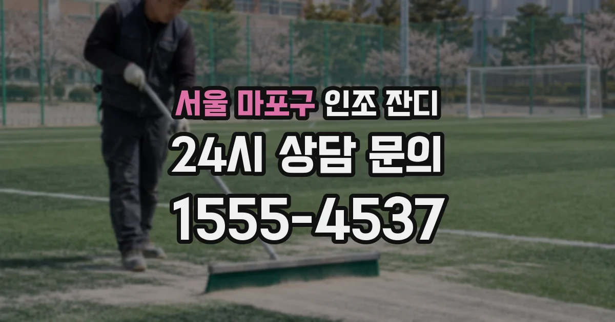 서울 마포구 인조 잔디