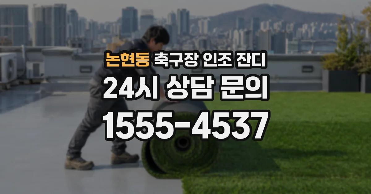 논현동 축구장 인조 잔디